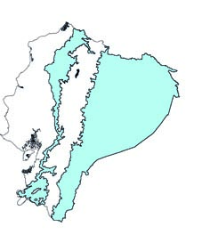 Anoura aequatoris
