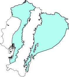 Bradypus variegatus