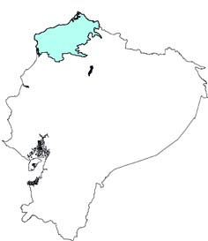 Cabassous centralis