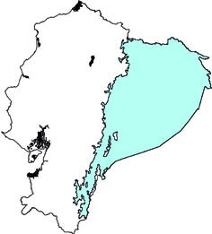 Cabassous unicinctus