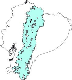 Caenolestes fuliginosus