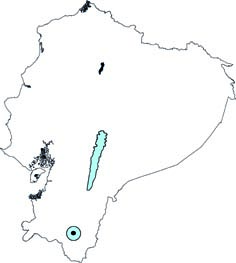 Cavia patzelti
