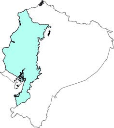 Cebus aequatorialis