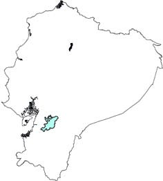 Chibchanomys orcesi