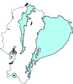 Choeroniscus minor