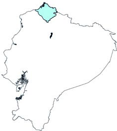 Choeroniscus periosus