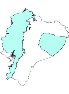 Choloepus hoffmani