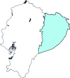 Coendou ichillus
