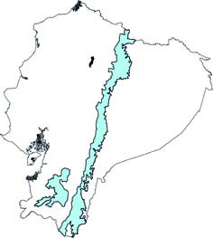 Coendou rufescens