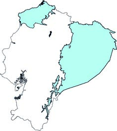 Cormura brevirostris