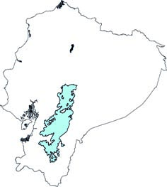 Cryptotis montivagus