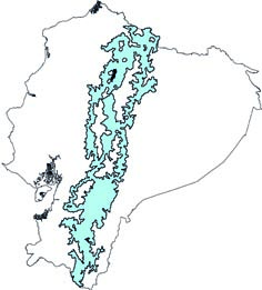 Cuniculus taczanowskii
