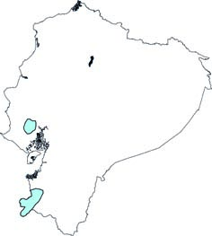 Cynomops greenhalli