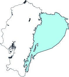 Dasyprocta fuliginosa