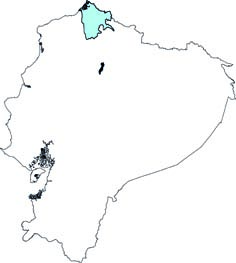 Diplomys labilis
