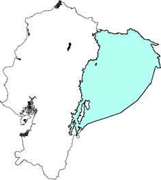 Echimys saturnus
