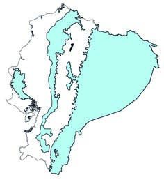 Enchisthenes hartii