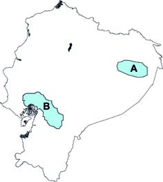 Eumops maurus y E perotis