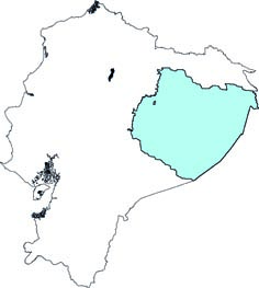 Furipterus horrens