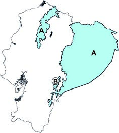 Glyphonycteris daviesi y G sylvestris