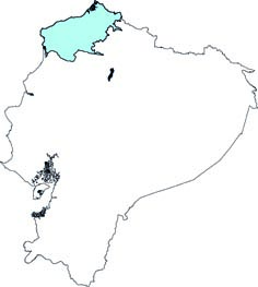 Hoplomys gymnurus