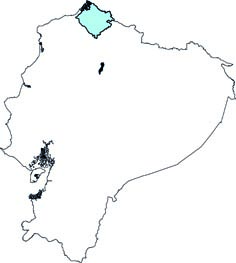 Hsunycteris cadenai