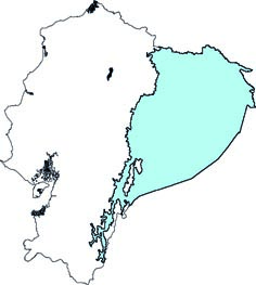 Hsunycteris thomasi