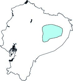 Hsunycteris pattoni