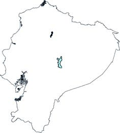 Hylaeamys tatei