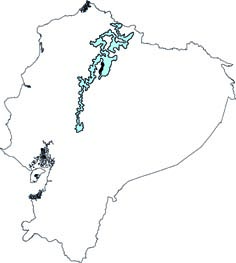 Ichthyomys hydrobates