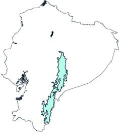 Ichthyomys stolzmanni