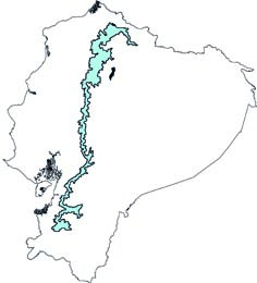 Ichthyomys tweedii