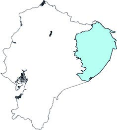 Inia geoffrensis