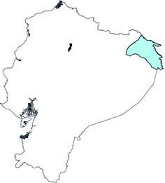 Isothrix bistriata