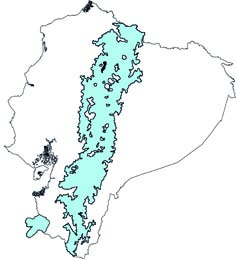 Leopardus colocolo