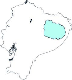Lionycteris spurrelli