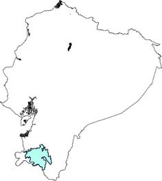 Lonchophylla hesperia