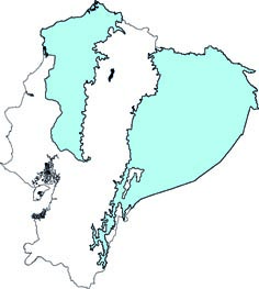 Lonchorhina aurita