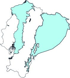 Lophostoma brasiliensis