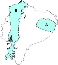 Lophostoma carrikeri y L occidentalis