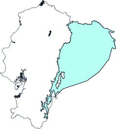 Lophostoma silvicolum