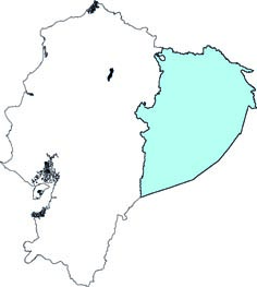 Makalata macrura