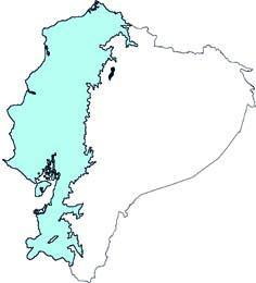 Mazama gualea