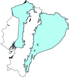 Mesophylla macconnelli