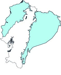 Micronycteris hirsuta