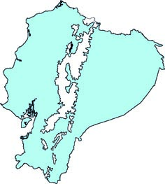 Micronycteris megalotis