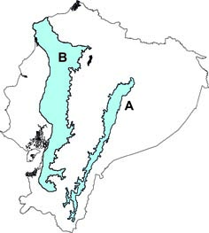 Microsciurus sabanillae simonsi 2017