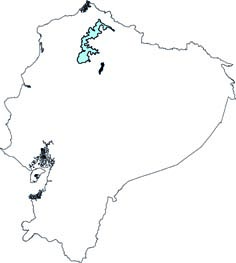 Mindomys hammondi
