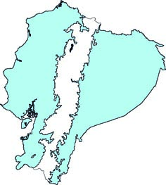 Molossus molossus