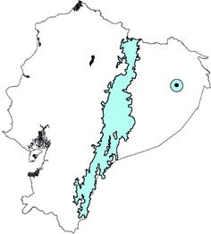 Monodelphis adusta